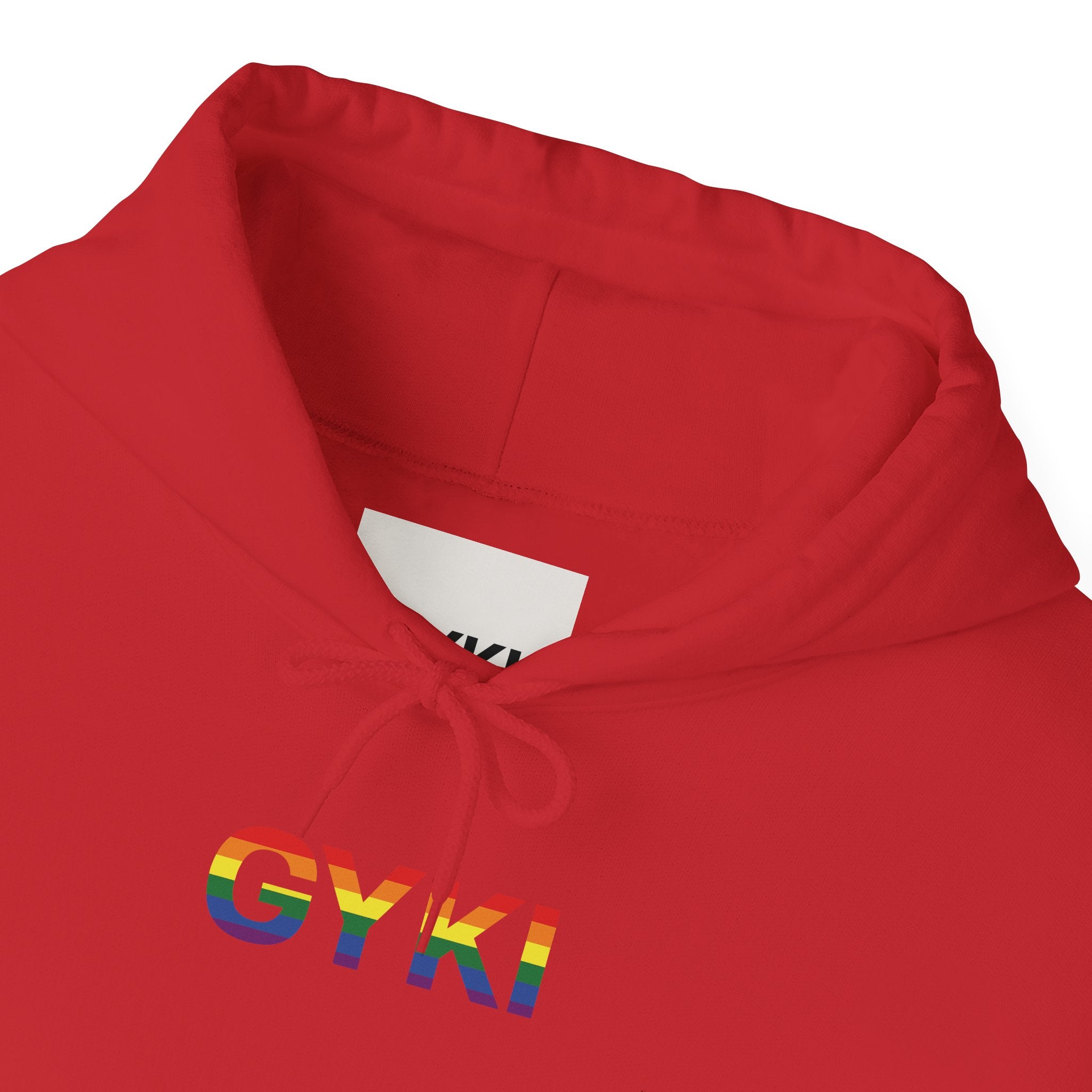 Rainbow Pride Hooded Sweatshirt, Unisex Hoodie, LGBTQ+ Apparel, Cozy Sweatshirt, Gift for Pride Month, Casual Streetwear