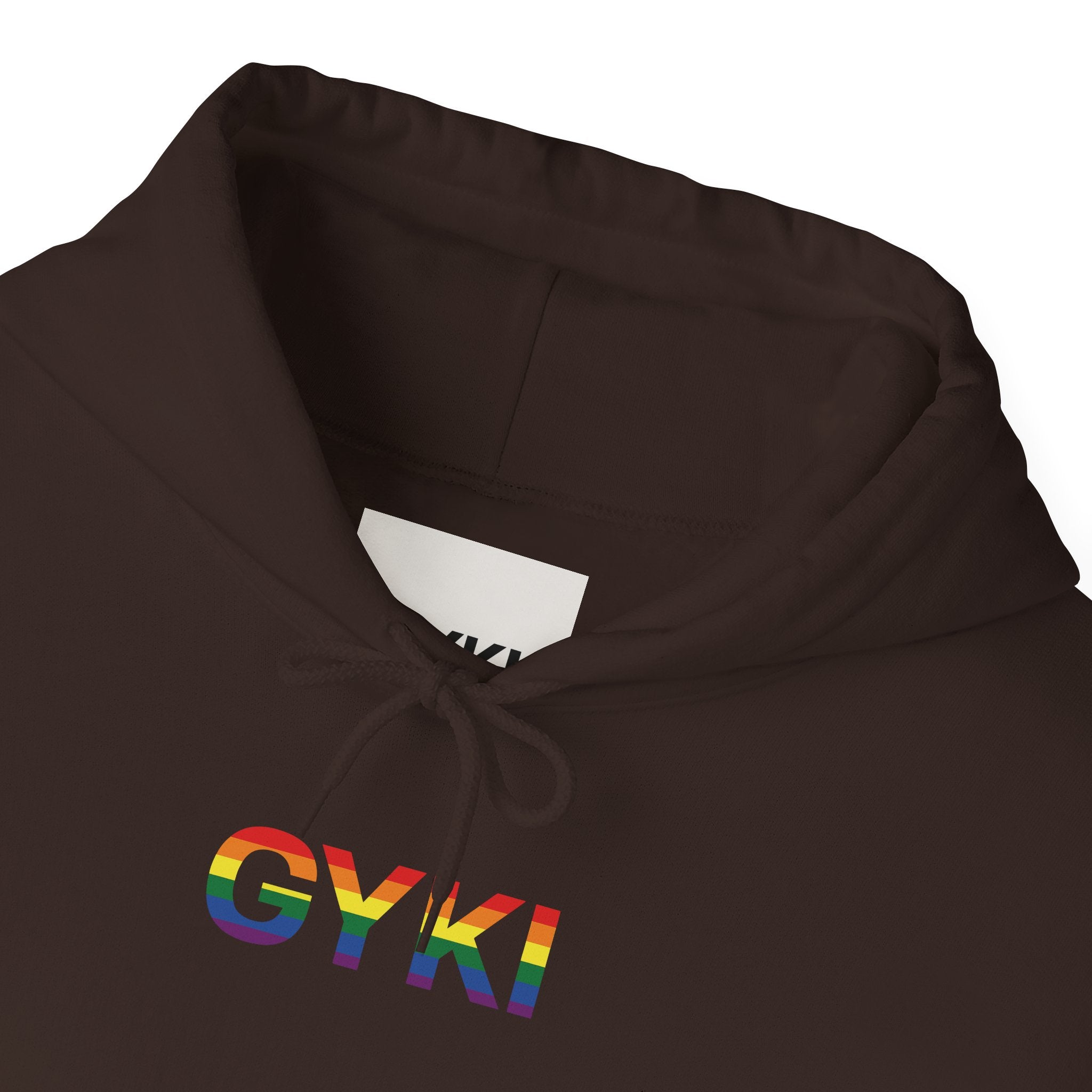 Rainbow Pride Hooded Sweatshirt, Unisex Hoodie, LGBTQ+ Apparel, Cozy Sweatshirt, Gift for Pride Month, Casual Streetwear