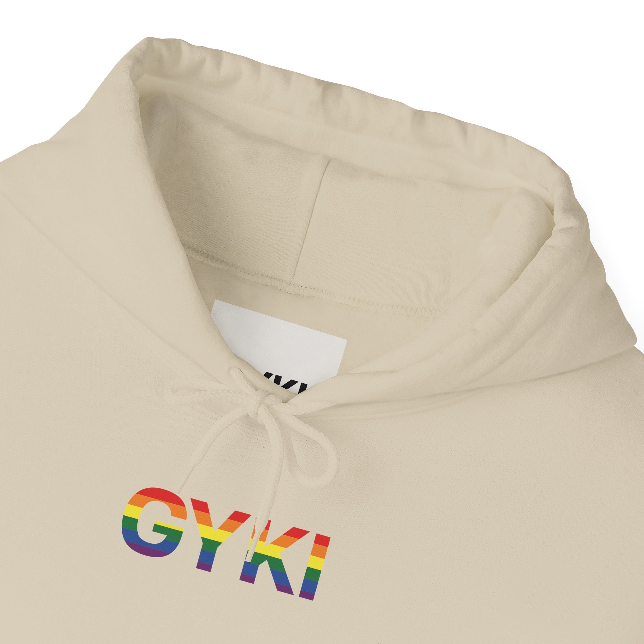 Rainbow Pride Hooded Sweatshirt, Unisex Hoodie, LGBTQ+ Apparel, Cozy Sweatshirt, Gift for Pride Month, Casual Streetwear