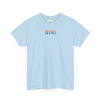 Pride Celebration Tee, Unisex Heavy Cotton Shirt, LGBTQ+ Activism Apparel, Gift for Pride Month, Rainbow Graphic T-Shirt