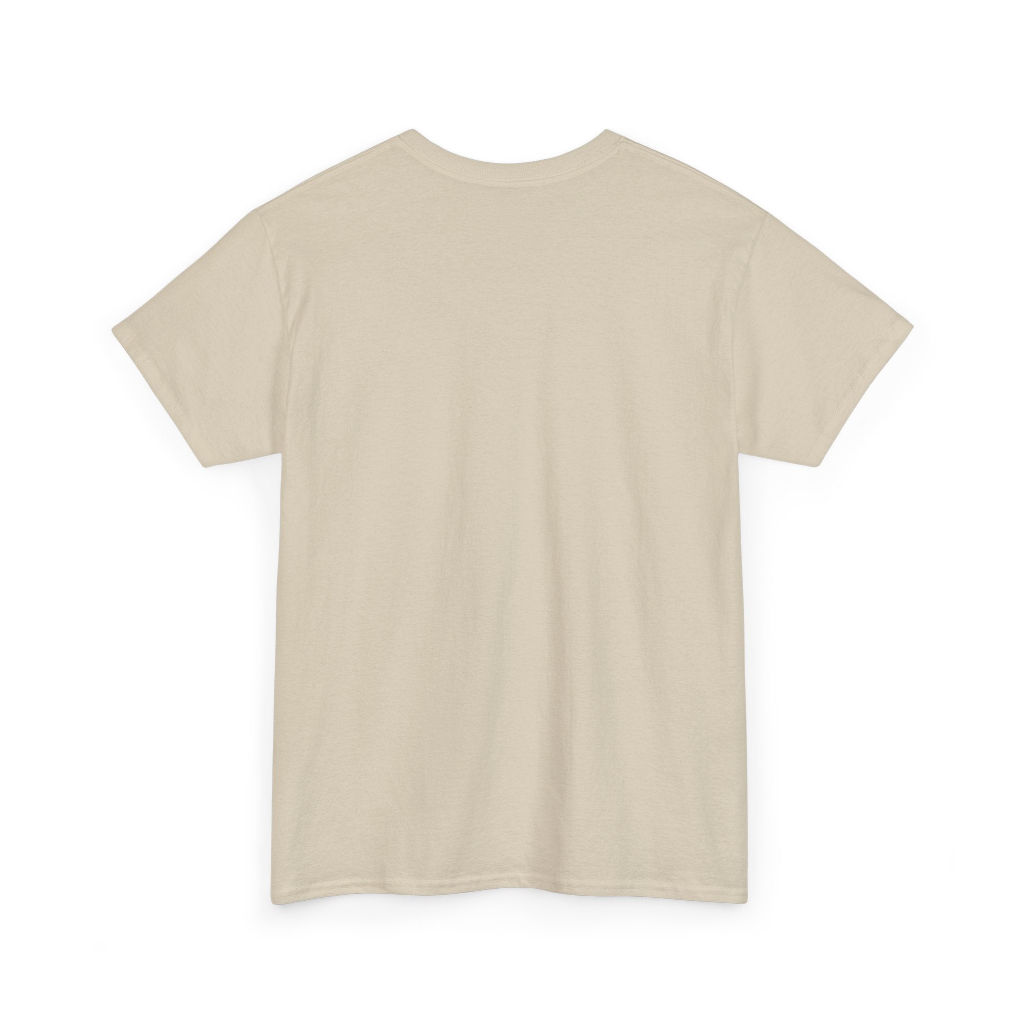 Trendy Unisex Heavy Cotton Tee, Casual Graphic Shirt, Comfortable Streetwear Top, Perfect for Gifting, Everyday Wear, Fashion Statement