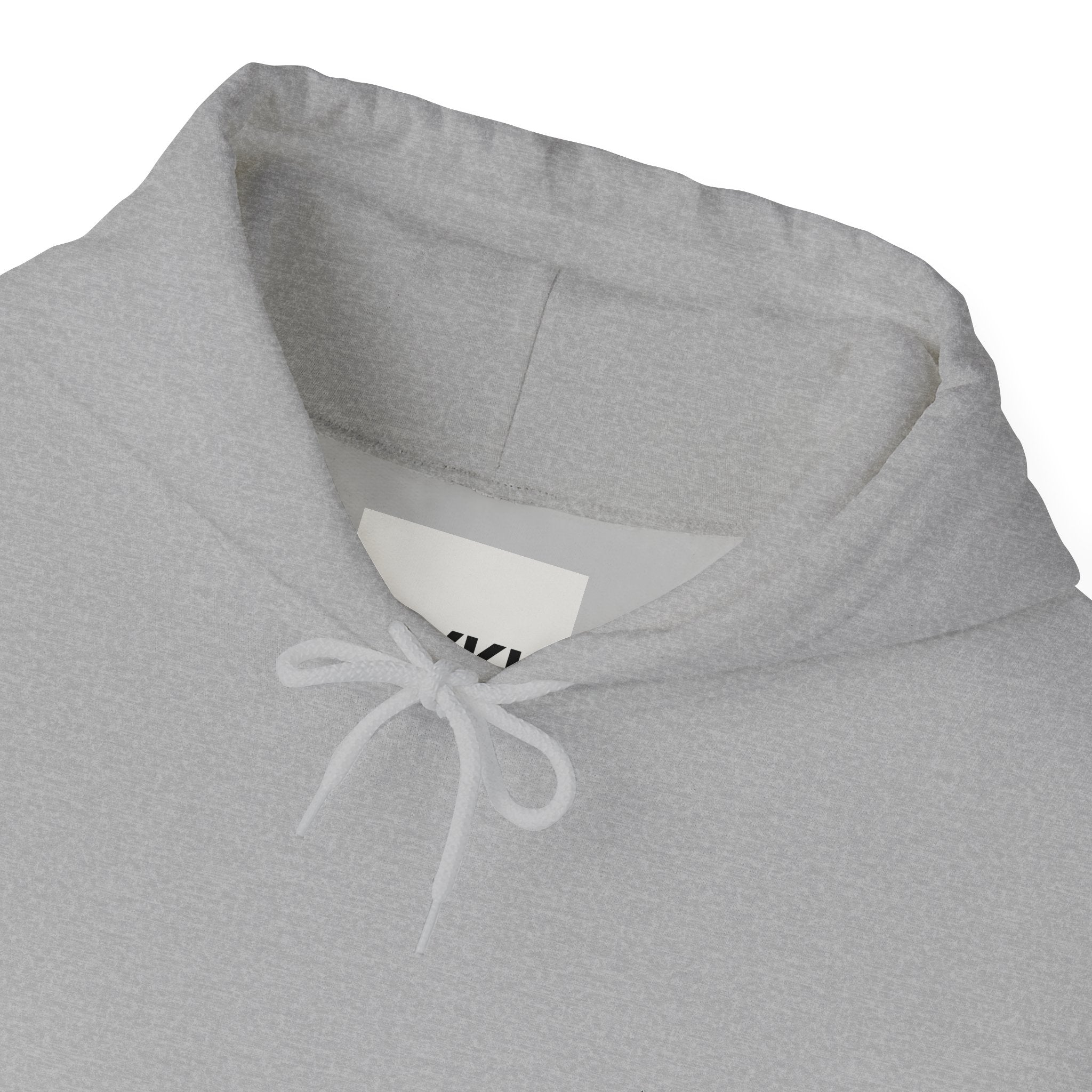 Pride Celebration Hoodie, Unisex Rainbow Sweatshirt, LGBTQ+ Gift, Cozy Hooded Pullover, Perfect for Pride Month and Everyday Wear